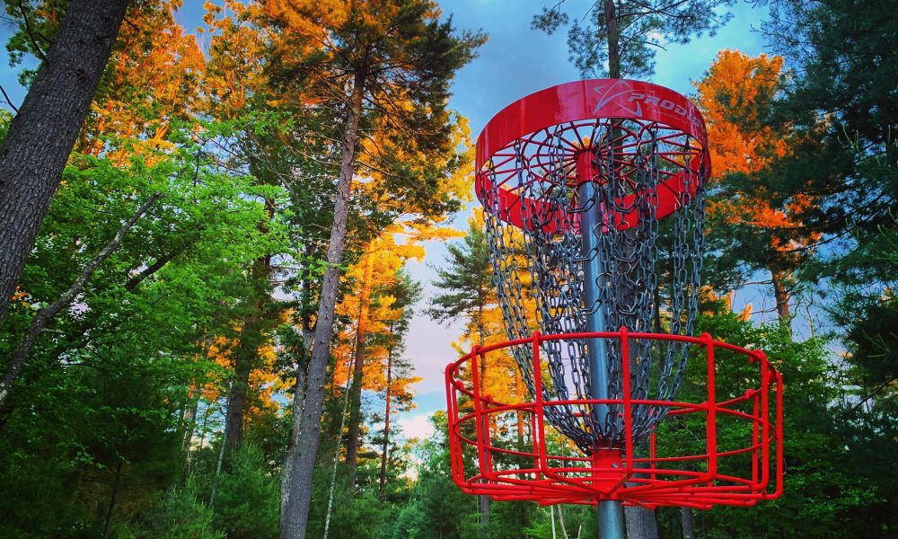 Hawkins Woods Disc Golf Fall_Basket